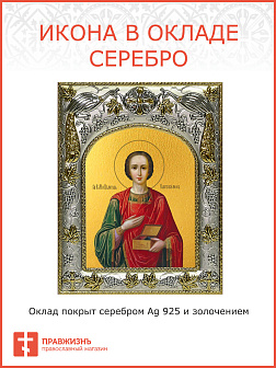 Икона ПАНТЕЛЕИМОН Целитель, Великомученик (СЕРЕБРЯНАЯ РИЗА)