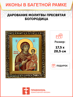 Образ Божией Матери "Дарование молитвы", 03Д2 Образ Божией Матери "Дарование молитвы", 03Д2