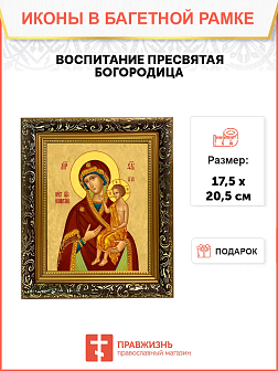 Образ Божией Матери "Воспитание", 03В2