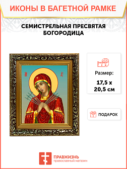 Образ Божией Матери "Семистрельная", 03С2