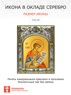 Икона Иосиф Прекрасный праведный