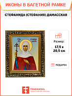 Икона Стефанида Стефания Дамасская Мученица на холсте 202
