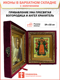 Икона 122 Прибавление ума Божия Матерь