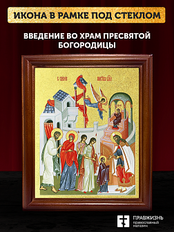 Икона Введение во храм Пресвятой Богородицы с золочением, деревянная рамка со стеклом 15х18х2 см 120