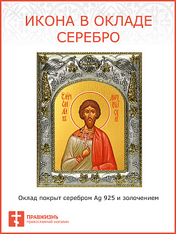 Икона Емилиан Доростольский мученик