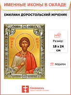 Икона Емилиан Доростольский мученик