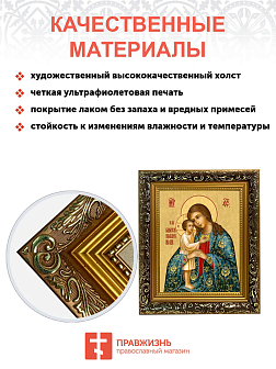 Образ Божией Матери "Взыскание погибших", 03003