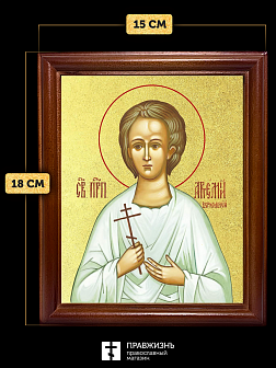 Икона Артемий Веркольский праведный с золочением, деревянная рамка со стеклом 15х18х2 см 034