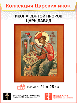 Царская Икона 008 Царь Давид 21х24,5 159