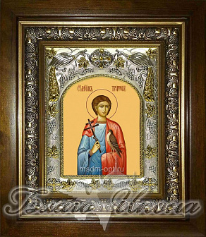 Икона ТРИФОН Апамейский, Никейский, Мученик (в КИОТЕ)