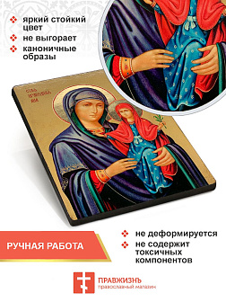 Икона Праведная Анна с Девой Марией 22х30 (028)