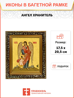 Образ Святого Ангела хранителя, 04А6 Образ Святого Ангела хранителя, 04А6