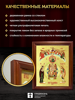 Икона Божией Матери София Премудрость Божия с золочением, деревянная рамка со стеклом 15х18х2 см 123