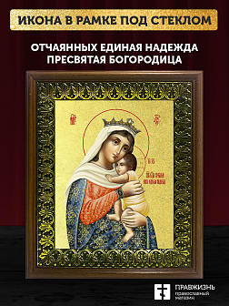 Икона Божией Матери Отчаяных Единая Надежда с золочением, деревянная рамка с басмой и стеклом 18х21х