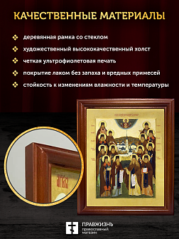 Икона Собор Оптинских Старцев с золочением, деревянная рамка со стеклом 15х18х2 см 1123