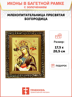 Икона Божией Матери "Млекопитательница" с золочением поталью, 03043-УЛ
