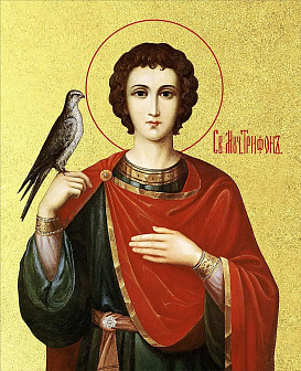 Икона "Трифон", св. мч., с золочением поталью, 09110-УЛ