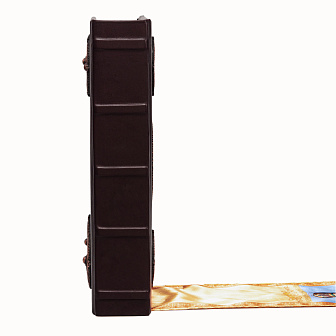 Евангелие 360*240 кожаный оклад г / пл патинирование