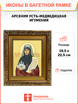Икона святой Арсении Усть-Медведицкой игумении, 10А8, иконы на холсте - новый каталог