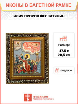 Образ святого святого Илии Пророка Фесвитянина, 09И20 Образ святого святого Илии Пророка Фесвитянина, 09И20