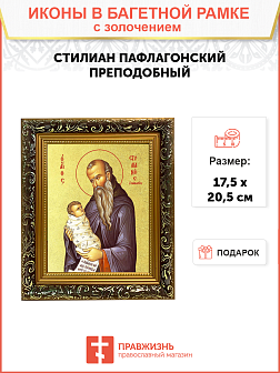 Икона "Стилиан Пафлагонский", св. прп., с золочением поталью, 09С10-УЛ