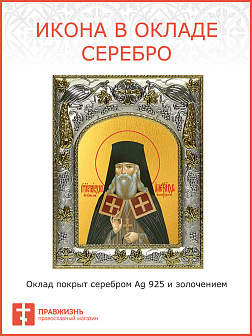 Икона Александр Санаксарский Преподобный