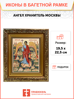 Образ "Ангела Хранителя Москвы", 04004