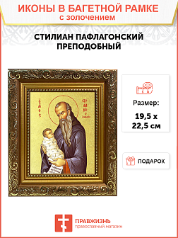 Икона "Стилиан Пафлагонский", св. прп., с золочением поталью, 09С10-УЛ Икона "Стилиан Пафлагонский", св. прп., с золочением поталью, 09С10-УЛ