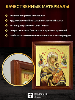 Икона Божией Матери Страстная с золочением, деревянная рамка со стеклом 15х18х2 см 1228