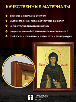 Икона Аполлинария преподобная с золочением, деревянная рамка со стеклом 15х18х2 см 031