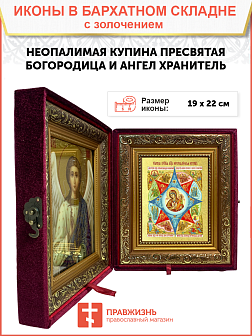 Икона Божией Матери "Неопалимая Купина" с золочением поталью, 03045-УЛ
