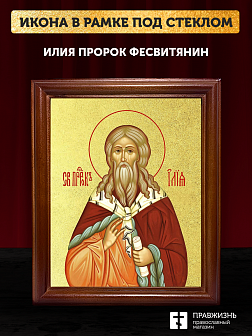 Икона Илия Фесвитянин пророк с золочением, деревянная рамка со стеклом 15х18х2 см 077