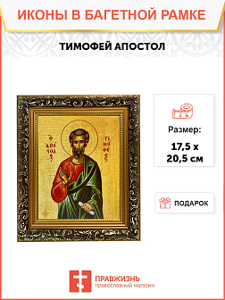 Икона Тимофей Апостол на холсте в киоте 138 Икона Тимофей Апостол на холсте в киоте 138
