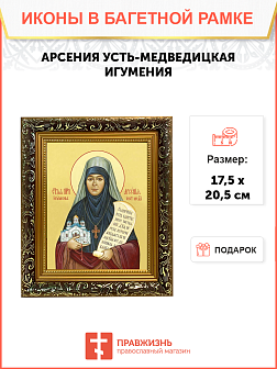 Икона святой Арсении Усть-Медведицкой игумении, 10А8, иконы на холсте - новый каталог