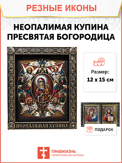 Икона Божией Матери Неопалимая Купина 