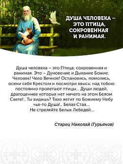 Царская Икона 015 БМ Яко Орля на троне 29х30