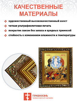 Икона "Преображения Господня" с золочением поталью, 05207-УЛ Икона "Преображения Господня" с золочением поталью, 05207-УЛ