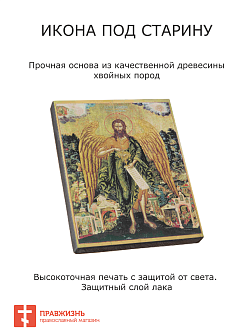 Икона Иоанн Предтеча Ангел Пустыни