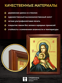 Икона Божией Матери Милостивая с золочением, деревянная рамка со стеклом 15х18х2 см 1120