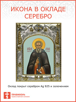 Икона ДИМИТРИЙ Прилуцкий, Преподобный