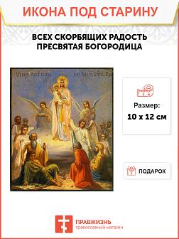 Икона Всех Скорбящих Радость