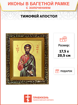 Икона "Тимофей", св. апостол, с золочением поталью, 09103-УЛ