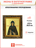 Икона "Аполлинария", св. прп., с золочением поталью, 10А7-УЛ Икона "Аполлинария", св. прп., с золочением поталью, 10А7-УЛ