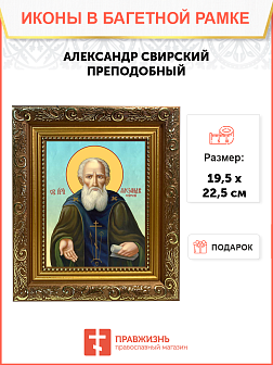 Образ святого Александра Свирского, преподобного, 09А3