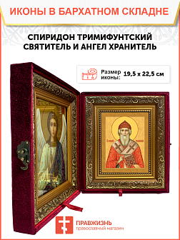 Образ святого Спиридона, епископа Тримифунтского, чудотворца, 09С3