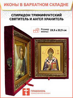 Образ святого Спиридона, епископа Тримифунтского, чудотворца, 09С6