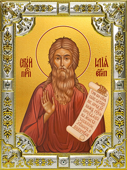 Икона Илия Египетский Икона Илия Египетский