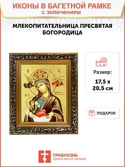 Икона Божией Матери "Млекопитательница" с золочением поталью, 03043-УЛ