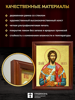 Икона Никита Готфский мученик с золочением, деревянная рамка со стеклом 15х18х2 см 109