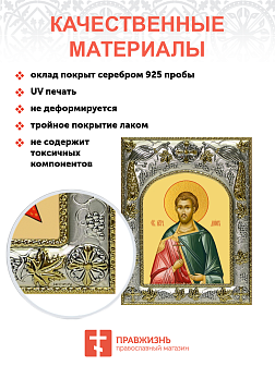 Икона освященная "Дион Римский ,мученик"